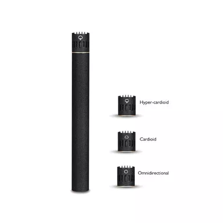 C-2000 Professional Condenser Microphone