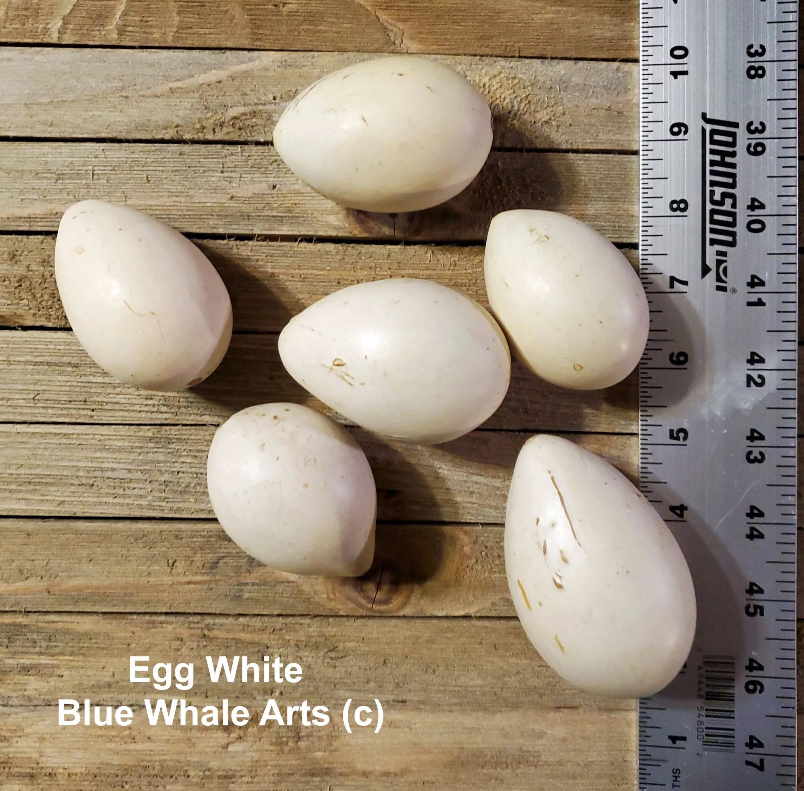 Gourd Seeds – White Egg Nesting – 10 per package